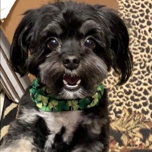 Meet your Posher, Max